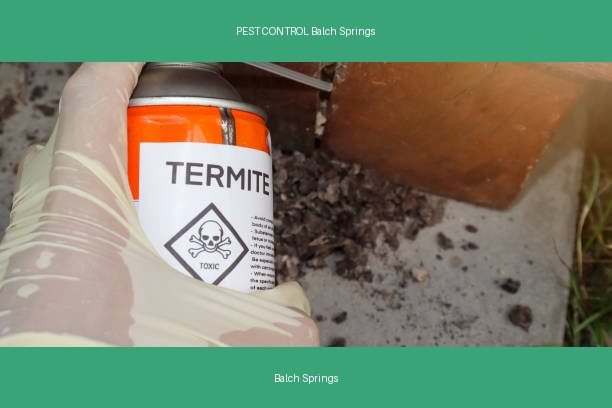 PEST CONTROL Balch Springs